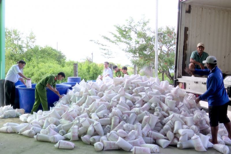 職能力量將未經檢疫的種蝦進行銷毀。（圖：文德）