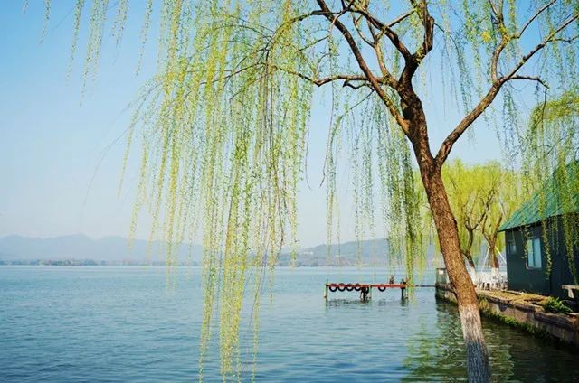 （示意圖：互聯網）