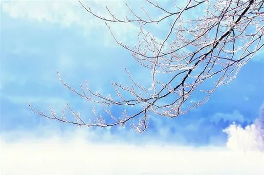 （示意圖：互聯網）