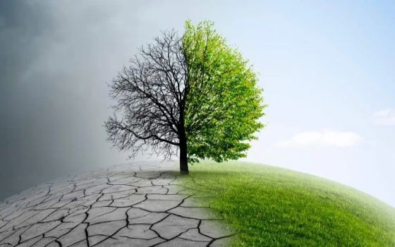 （示意圖：互聯網）