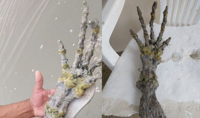 巴西海灘驚見“巨大怪手”