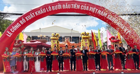 檳椥綠皮柚首次外銷美國