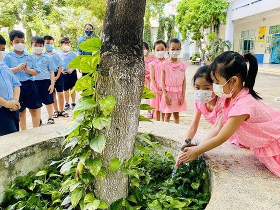 守德市黎文越小學的學生使用洗手水給樹木澆灌。