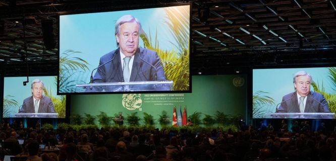 聯合國秘書長呼籲與自然“講和” ảnh 1