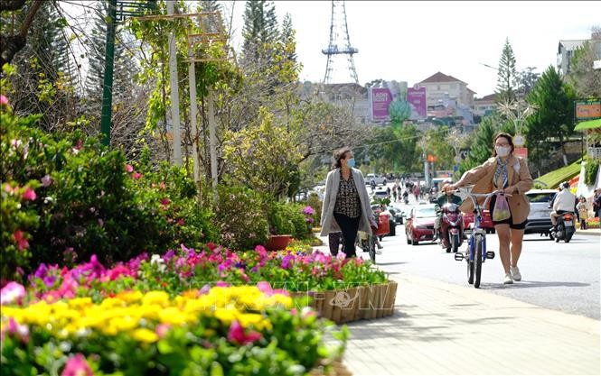 大勒市和平街區一隅。（圖：越通社）