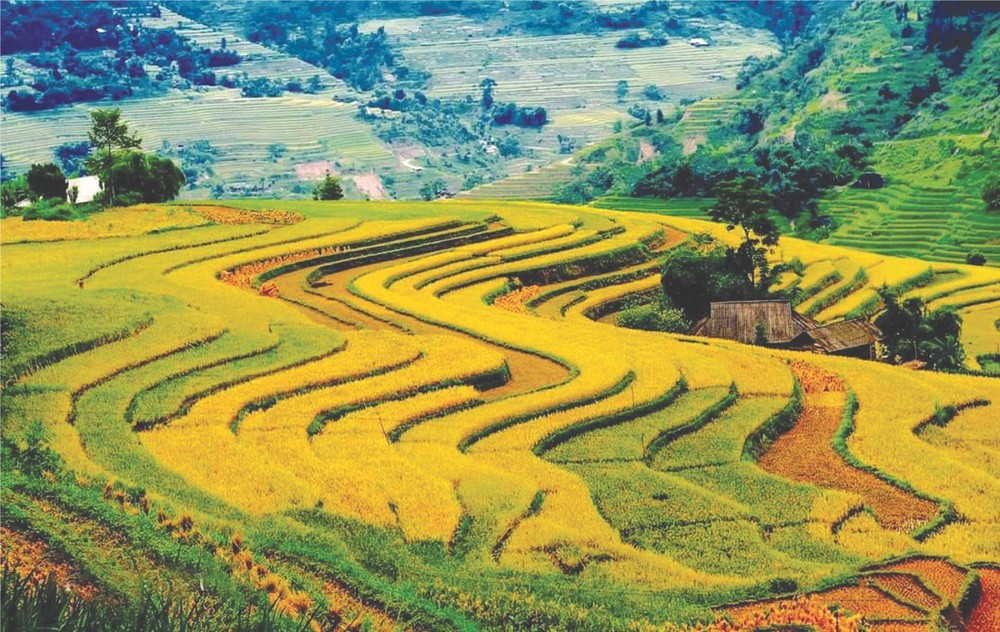 梯田 陳光明 攝