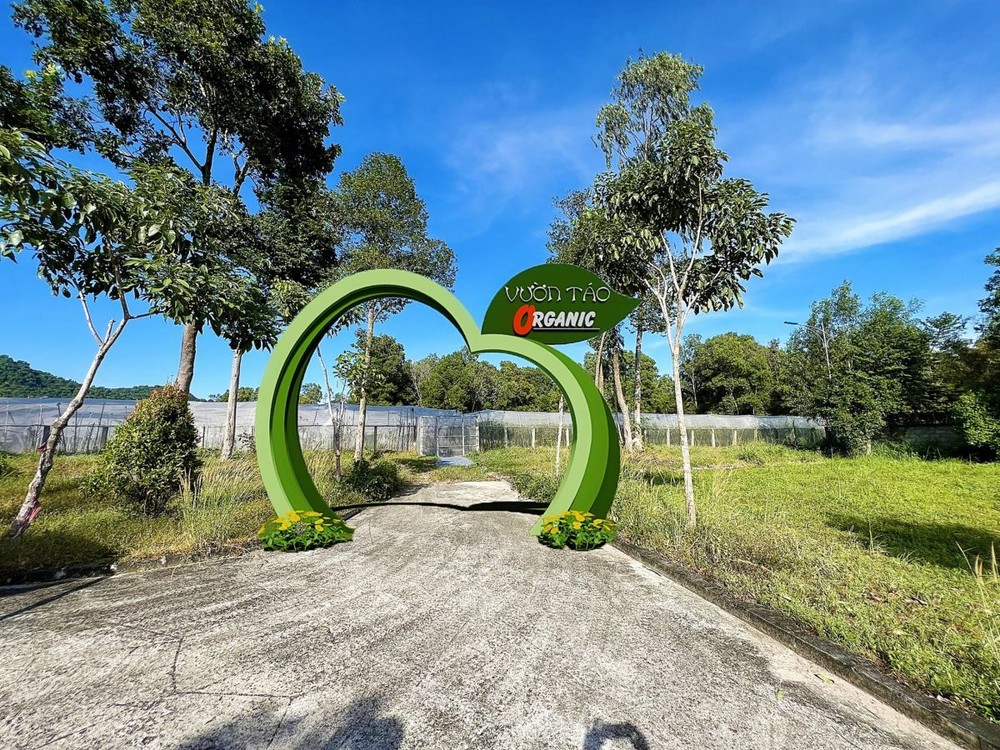 禁山缆车仙苹果园