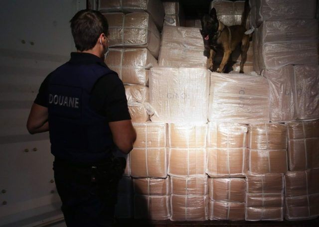比利时警察的一只缉毒犬在一集装箱货物中进行搜毒检查。(示意图:互联网)