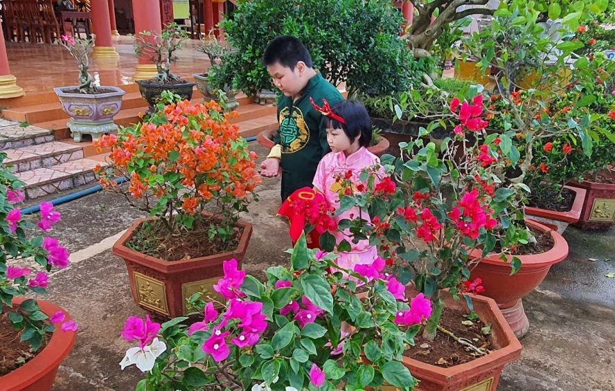 新春遊花园。