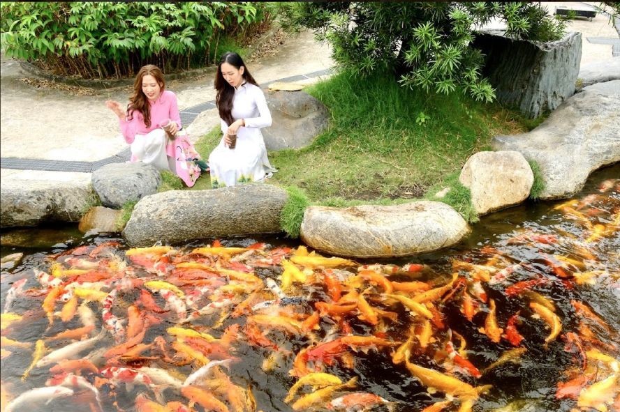 锦鲤池吸引游客观赏。