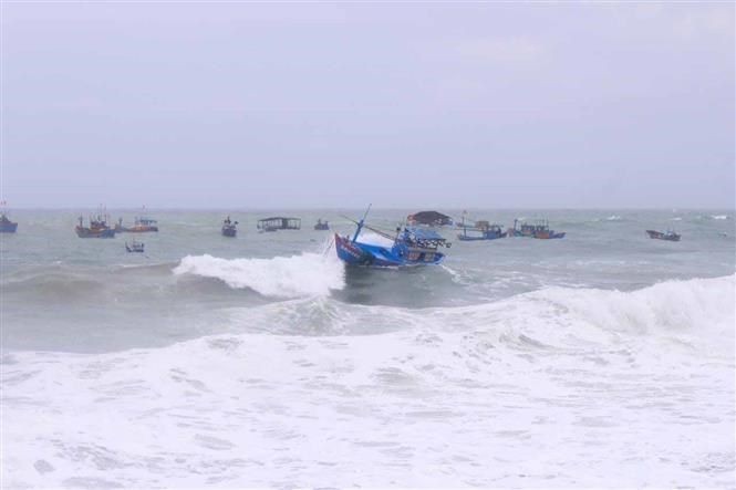 天气预报:今(30)日,东海中心区和北面海域(包括黄沙群岛海域),从岘港至宁顺海域将有东北风,风力达6至7级,阵风达8至9级,海浪高3至5.5米。(示意图:越通社)