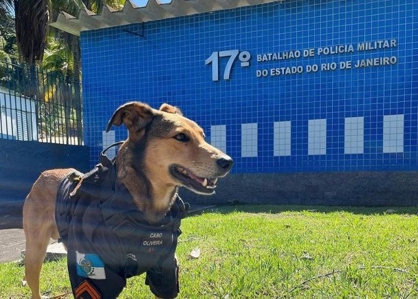 流浪狗变警署吉祥物