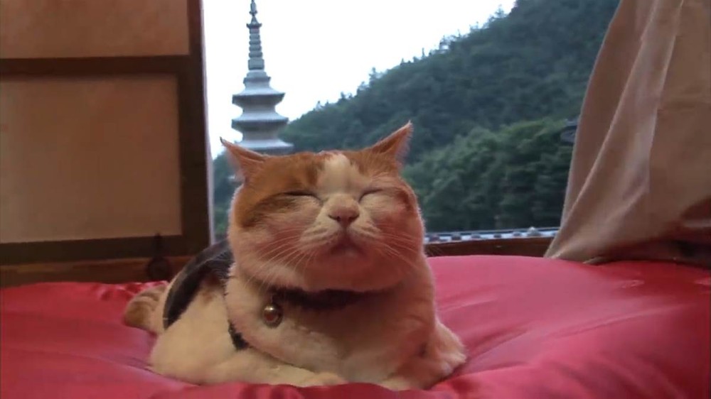 (示意图:互联网)