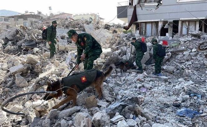 越南人民军坍塌搜救专队警犬队在土耳其地震灾区协助救援工作。（图：越通社）