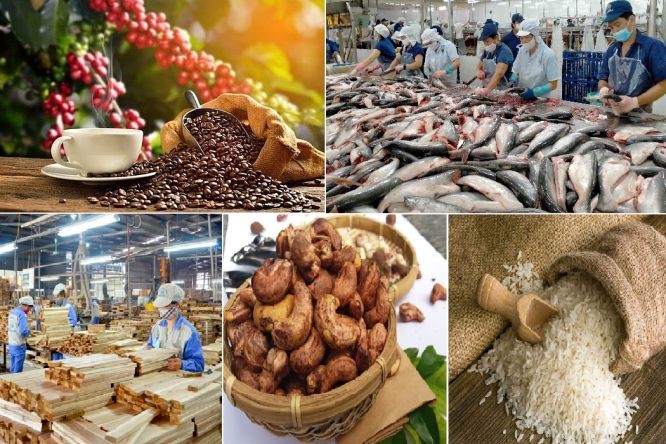 今年2月份,全国农林水产出口金额达逾34亿美元,同比增5.7%及环比增18.1%。(示意图:互联网)
