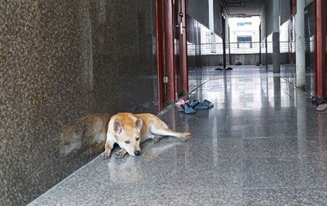 （示意图：互联网）
