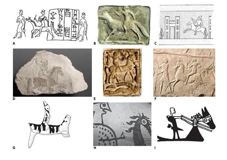 人类骑马最早证据可追溯到约5000年前