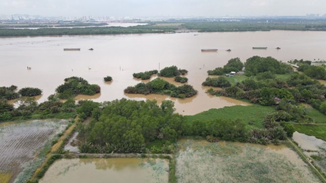 属于环市三路-胡志明市项目、连接仁泽县（同奈省）与胡志明市的仁泽桥规划建设位置。