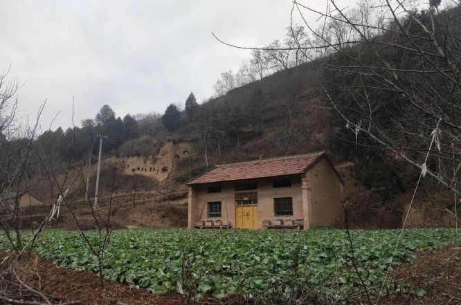 (示意图:互联网)
