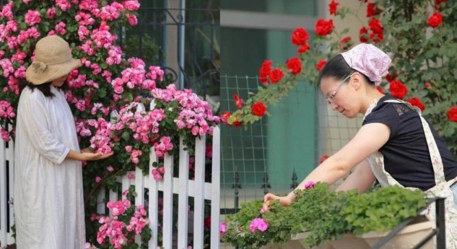 (示意图:互联网)