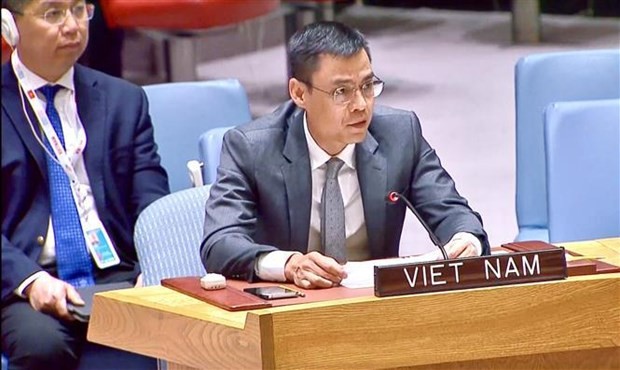 越南常驻联合国代表团团长邓黄江大使。(图:越通社)
