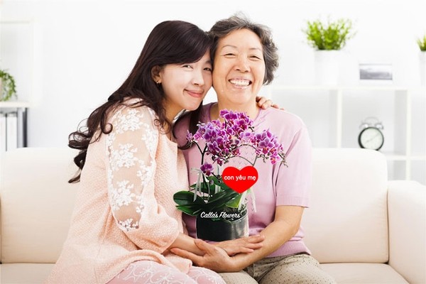 陪母亲过节