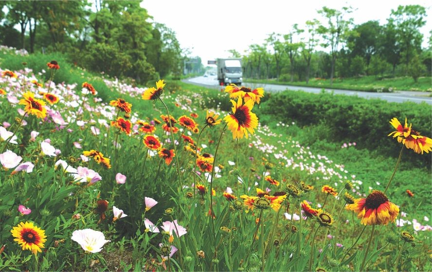 一路花香 盛近 攝