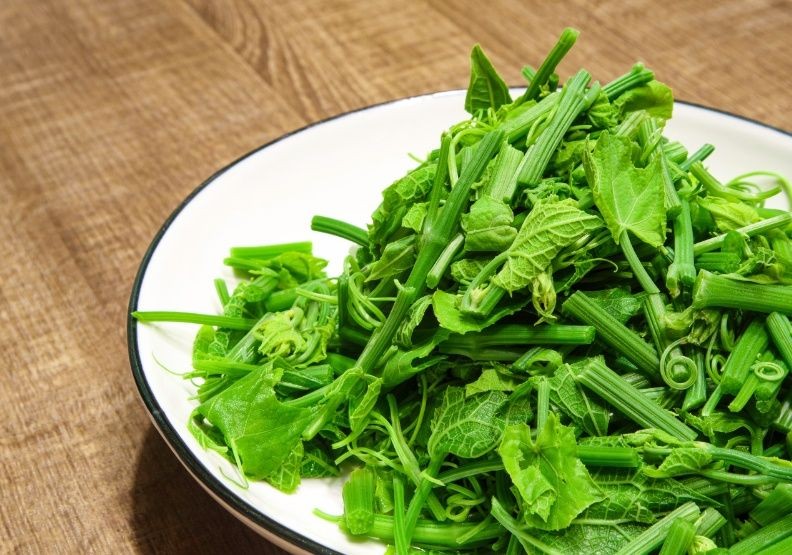 龙须菜5大功效
