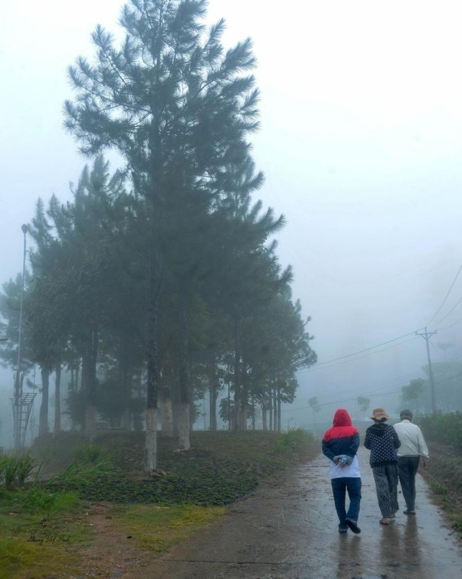 阵雨敲醒了在梦境中的山林。 阵雨敲醒了在梦境中的山林。