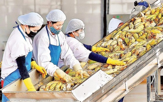 《自由贸易协定》合作扩大