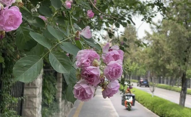 （示意图：互联网）