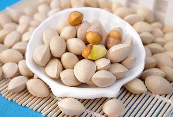 白果能补脑吗？