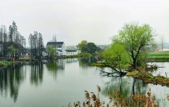 (示意图:互联网)