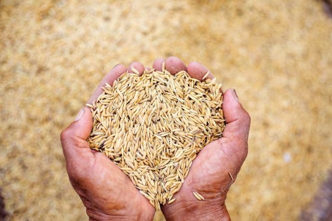 （示意图：互联网）