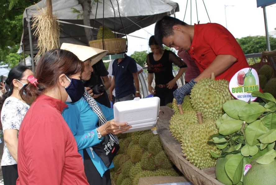 首届“岸上船下”水果周吸引众多游客。