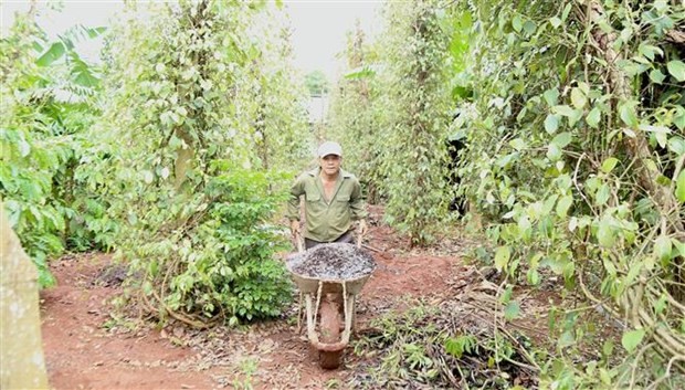 事发三天后，当地民众恢复了日常生活。
