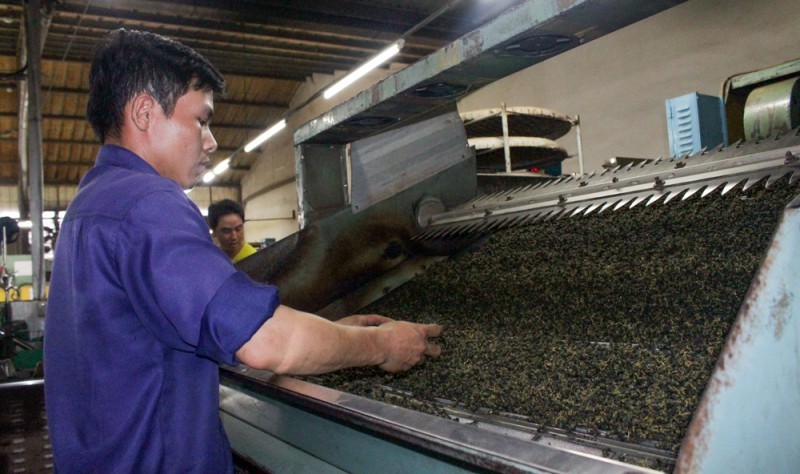 茶叶加工工段一隅。（图：工商报）