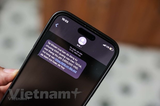 (示意图:Vietnam+)