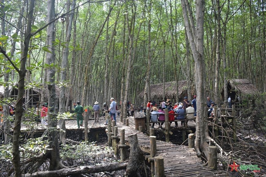 民众和游客在芹耶红树林遗址区体验抗战时期的生活。