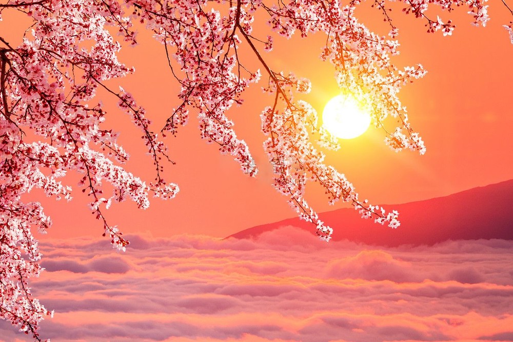 （示意图：互联网）