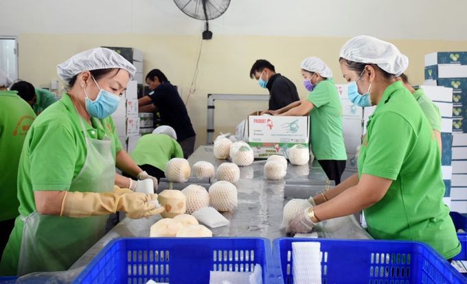 椰子加工厂一隅。(图:互联网)