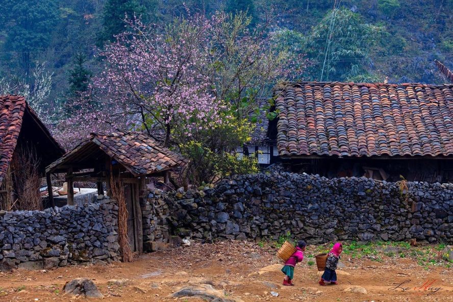 河江省同文石高原的美景。