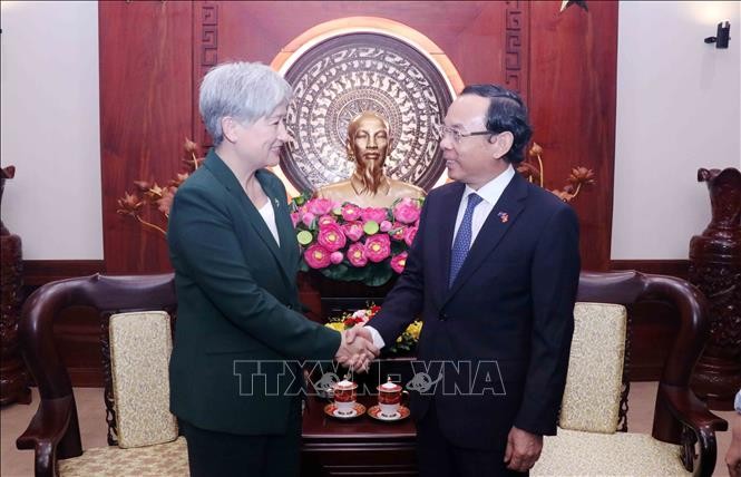 市委书记阮文年与澳大利亚外长黄英贤交谈。(图:越通社)