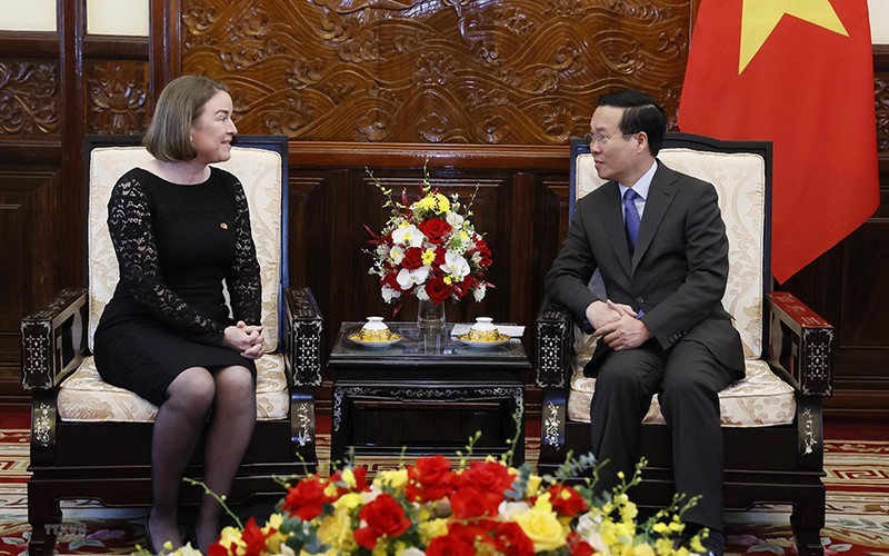 国家主席武文赏(右)接见爱尔兰大使迪尔德丽‧尼‧法伦。(图:越通社)