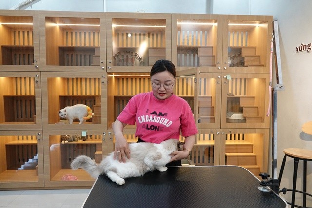 “酒店”共有14个豪华“格子间”和猫咪得到周到的护理服务。