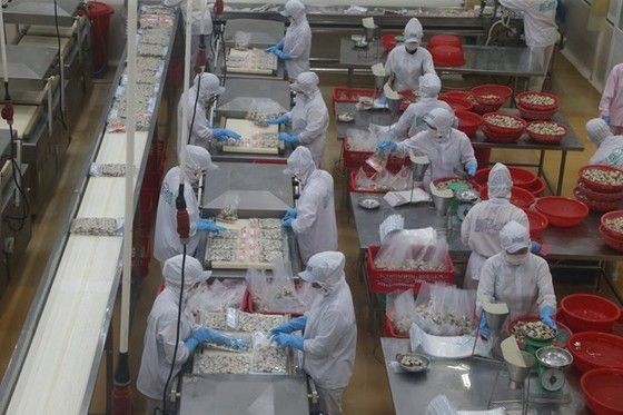 企业加工生产水产品出口。