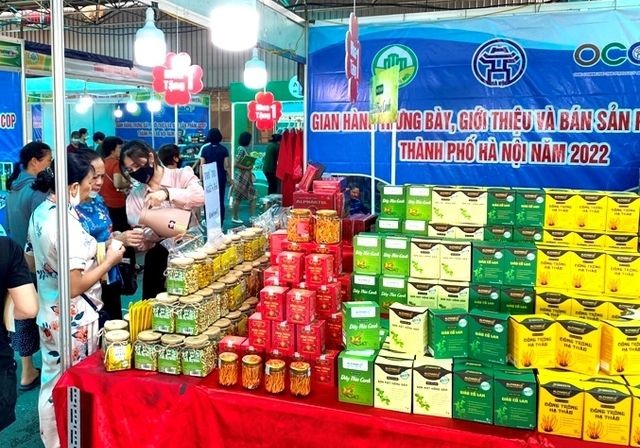 河内市开设了首都产品展销处，同时新增2个OCOP产品售卖点。