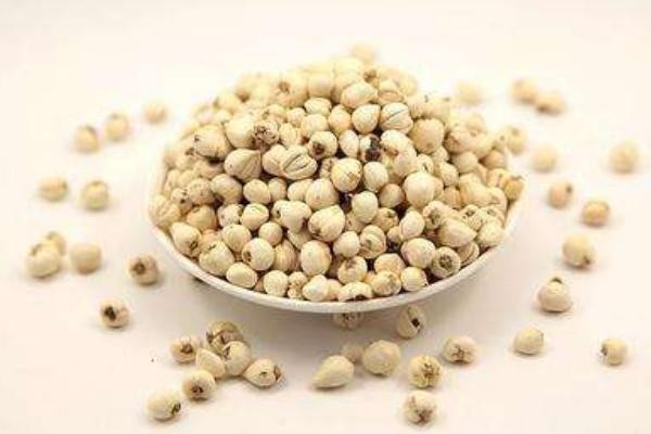 川贝７功效治肺虚久咳