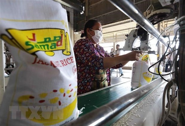 大米出口包装工段。（图：越通社）