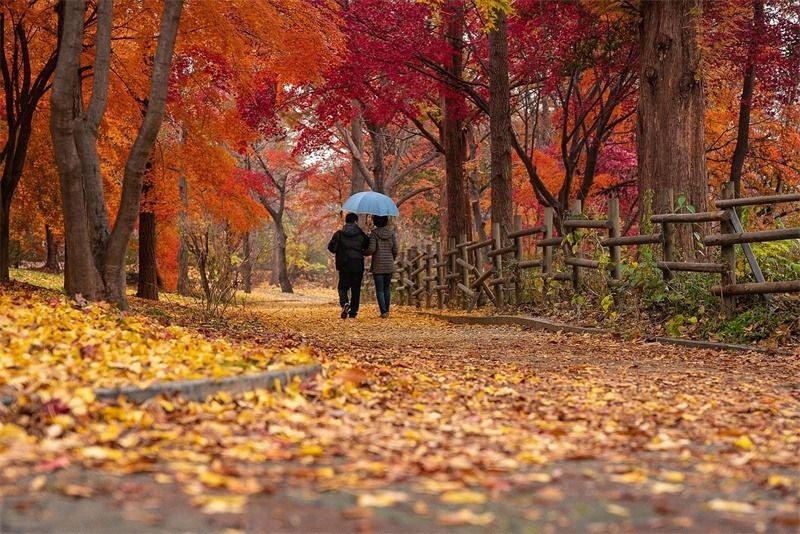 （示意图：互联网）